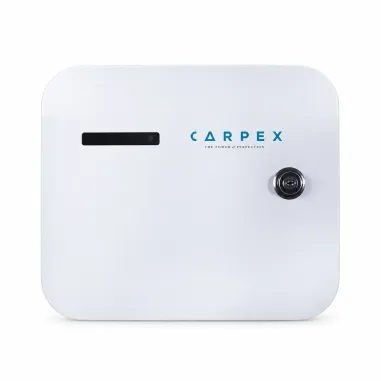 Carpex Geniş Alan Koku Makinesi, Ekonomik Model